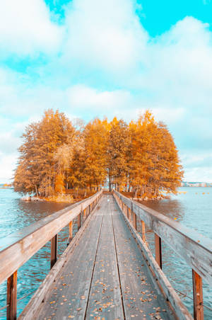 Korkeasaari Finland Bridge Dock Wallpaper