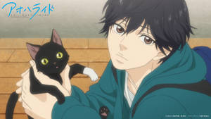 Kou Cat Ao Haru Ride Wallpaper