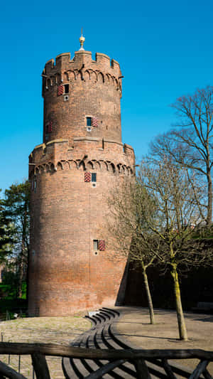 Kronenburger Park Tower Nijmegen Wallpaper