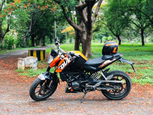 Ktm Duke 200 In A Park Wallpaper