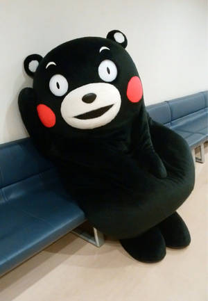 Kumamon Mascot On Blue Bench Wallpaper