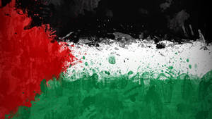 Kuwait Flag Paint Pattern Wallpaper