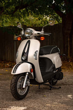 Kymco Scooter Classic Design Wallpaper