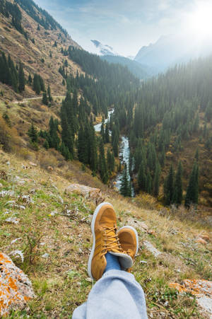 Kyrgyzstan River Pine Trees Wallpaper