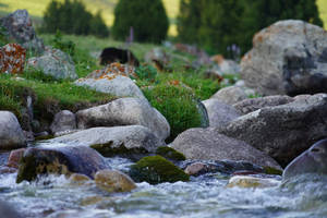 Kyrgyzstan Stream Bed Wallpaper