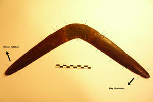 Labelled Wooden Boomerang Wallpaper