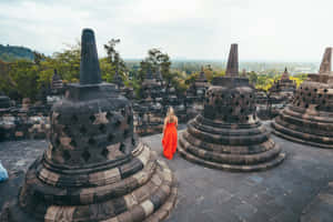 Lady In Open Work Stupas Borobudur Temple Wallpaper