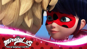Ladybug And Cat Noir Kiss Miraculous Wallpaper