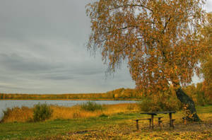 Lake Benches And Table Wallpaper