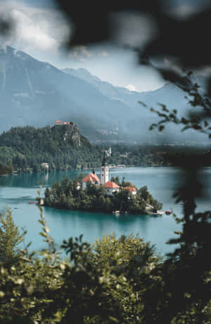 Lake Bled Viewed From Its Eastern Forest Wallpaper