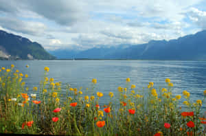 Lake Geneva Floral View Lausanne Wallpaper