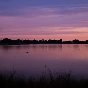 Lake Hamilton Purple Sunset Wallpaper
