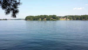 Lake Hamilton Waterfront View Wallpaper