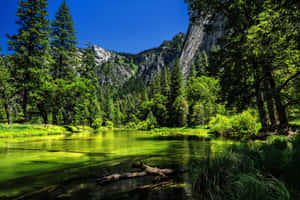 Lake In Yosemite National Park Wallpaper