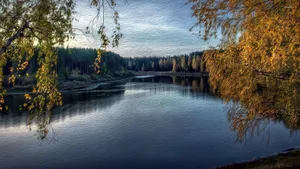 Lake View Obscured By Thick Leaves Wallpaper