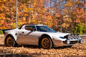 Lancia Stratos Autumn Leaves Wallpaper