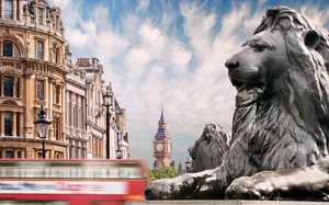 Landseer Lion Trafalgar Square Wallpaper