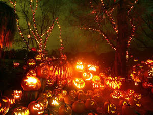 Lanterns Under Trees Fall Halloween Wallpaper
