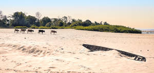 Laos Don Daeng Beach Wallpaper