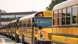 Large Fleet Of Yellow School Buses Parked At A School Wallpaper