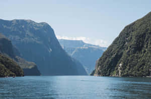 Large Green Milford Sound Wallpaper