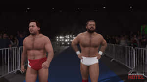 Larry Zbyszko And Arn Anderson In Wwe 2k16 Entrance Wallpaper