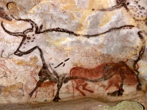 Lascaux Caves Wallpaper