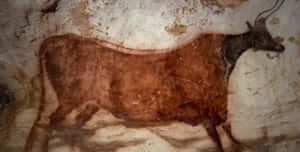 Lascaux Caves Wallpaper