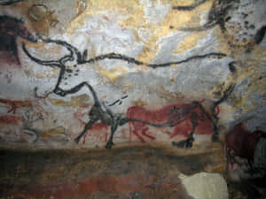 Lascaux Caves Wallpaper