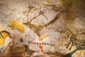 Lascaux Caves Wallpaper