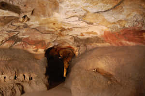 Lascaux Caves Wallpaper