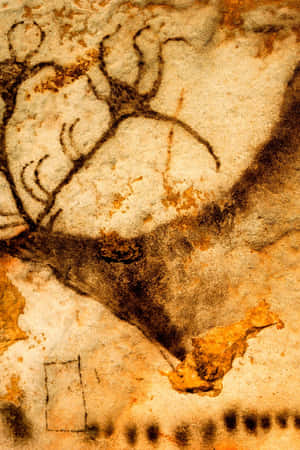 Lascaux Caves Wallpaper