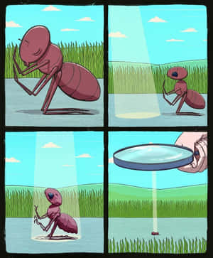 Laughing So Hard! Wallpaper