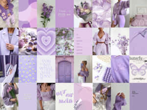 Lavender Aesthetic Collage Wallpaper