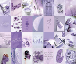 Lavender Aesthetic Collage Wallpaper