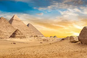 Lavender Blooming In Nature Wallpaper