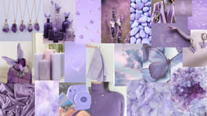 Lavender Hues Collage Wallpaper