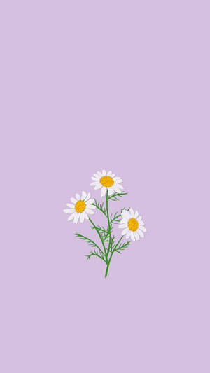 Lavender Spring Aesthetic Wallpaper