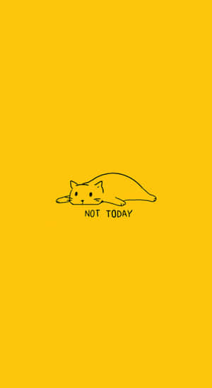 Lazy Cat Yellow Backdrop Not Today Wallpaper