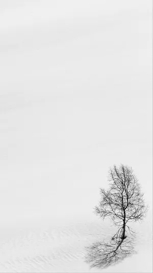 Leafless Tree White Minimalist Wallpaper