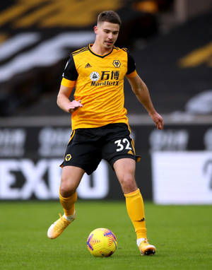 Leander Dendoncker Bumblebee Colors Wallpaper