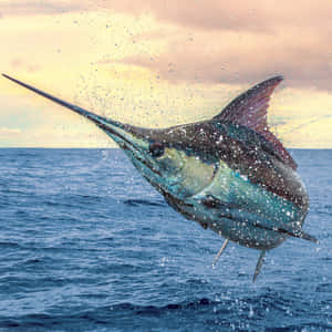 Leaping Blue Marlin Ocean Spray Wallpaper