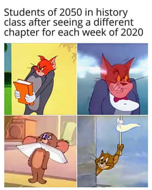 Learn Something New Every Day Wallpaper