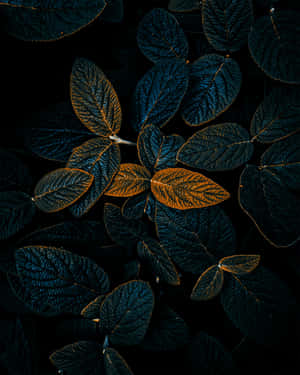 Leaves In The Dark Wallpaper