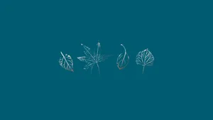 Leaves On Teal Wallpaper