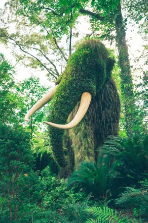 Leaves Surrounding Mossy Mammoth Wallpaper