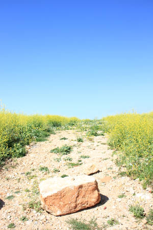 Lebanon Rocky Grassland Wallpaper