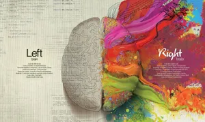 Left Right Brain Dichotomy Artistic Representation Wallpaper