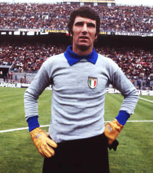 Legendary Goalkeeper Dino Zoff In Action Wallpaper