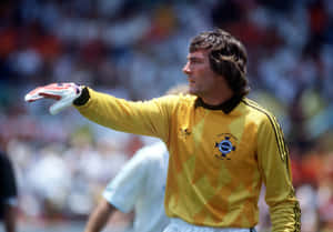 Legendary Goalkeeper Pat Jennings In Fifa World Cup, Mexico 1986 Wallpaper